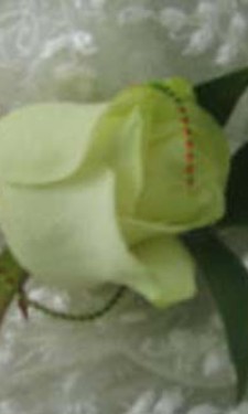 Ivory rose buttonhole with red and green wire spiral