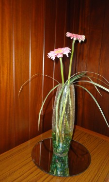 Gerbera with china grass in a bullet vase