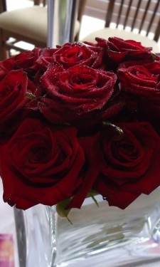 Table arrangement with burgundy roses and ivory oasis in a tank vase