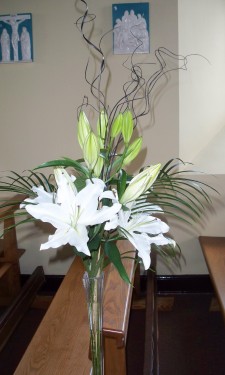 White lily and Phoenix palm