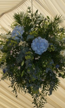 Large arrangement supended from marquee frame with Hydrangea, ivory gerbera & September flower