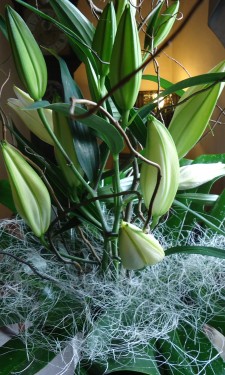 Oriental lilies, monstera leaves and sisal at Crug Glas
