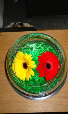 Goldfish bowl with red & yellow gerbera and bear grass in green crystal gel