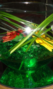 Goldfish bowl with red & yellow gerbera and bear grass in green crystal gel