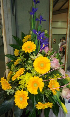 Yellow gerbera arranged with pink roses, blue iris and yellow mimosa