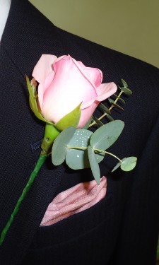 Pink rose buttonhole with eucalyptus