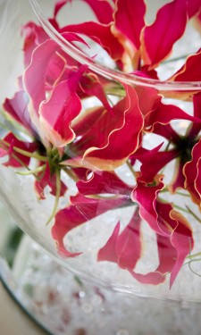 Gloriosa lilies in a goldfish bowl