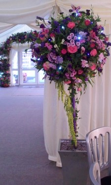 Topiary tree with pink and purple flowers and trailing amaranthus with lights