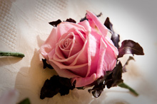 Buttonholes and Corsages